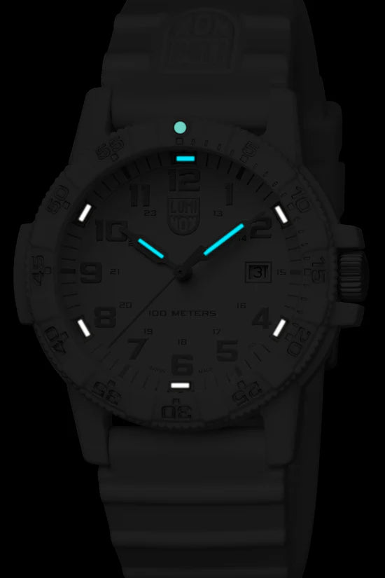 LUMINOX LEATHERBACK SEA TURTLE 0307.WO