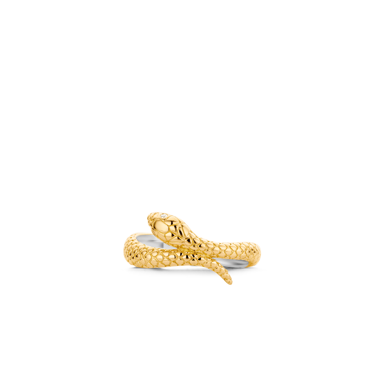 Agrandir
