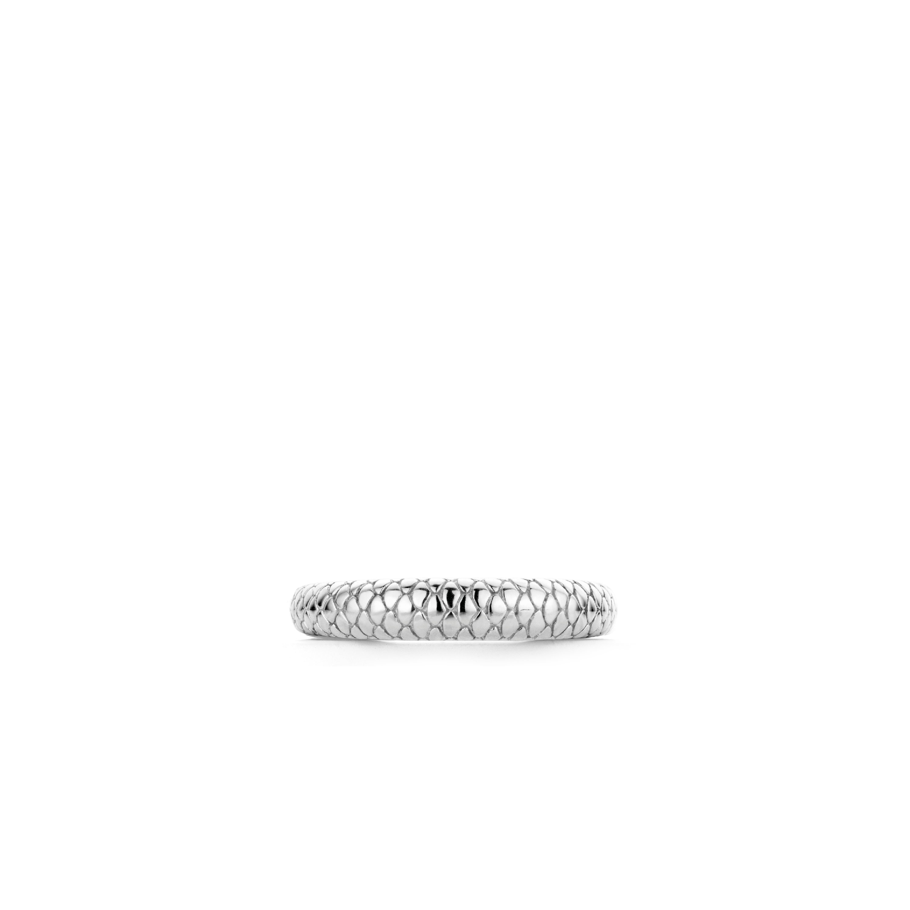Agrandir