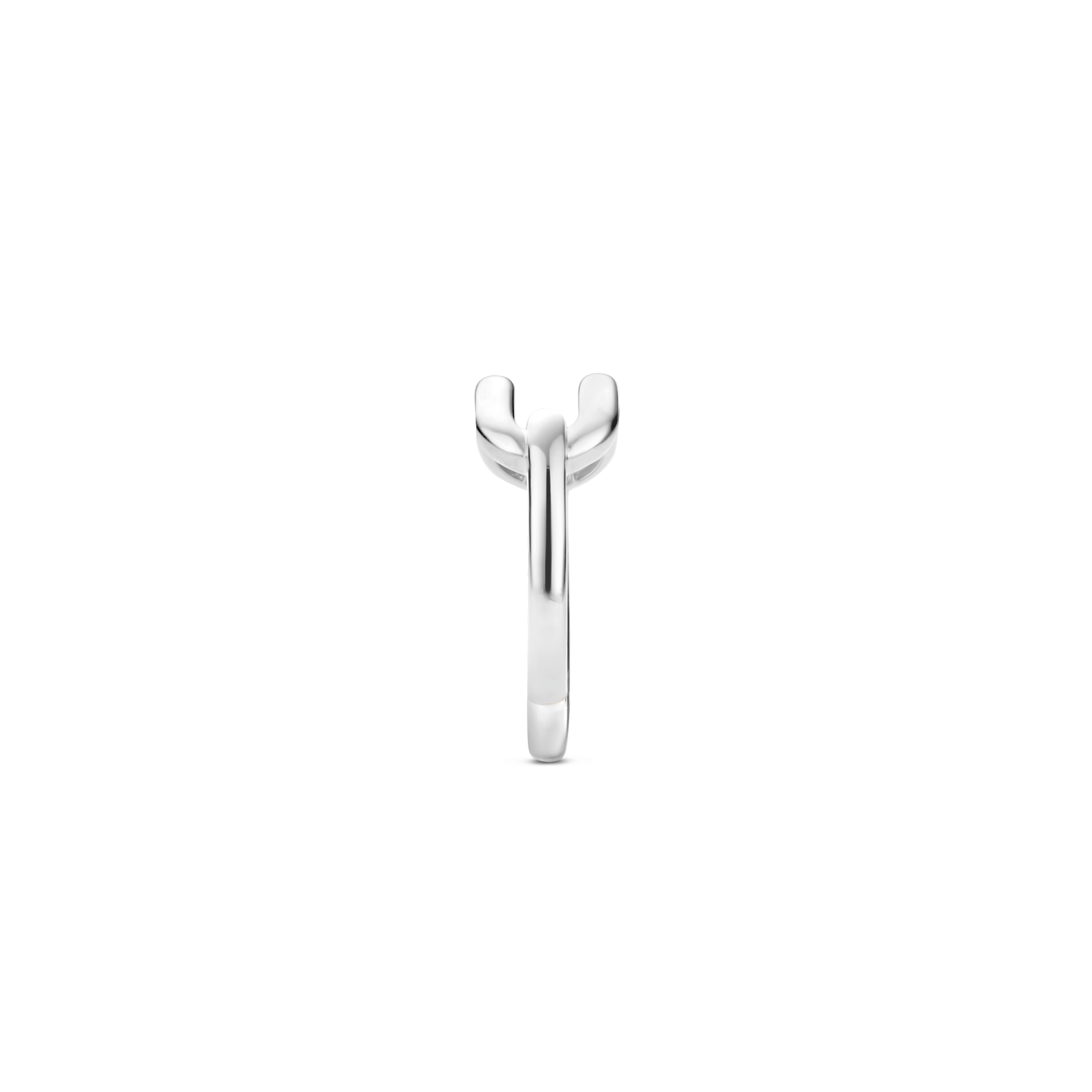 Agrandir