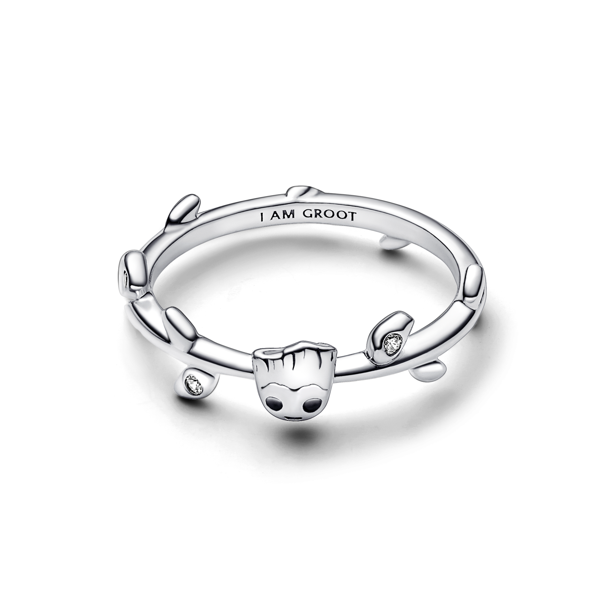 Agrandir