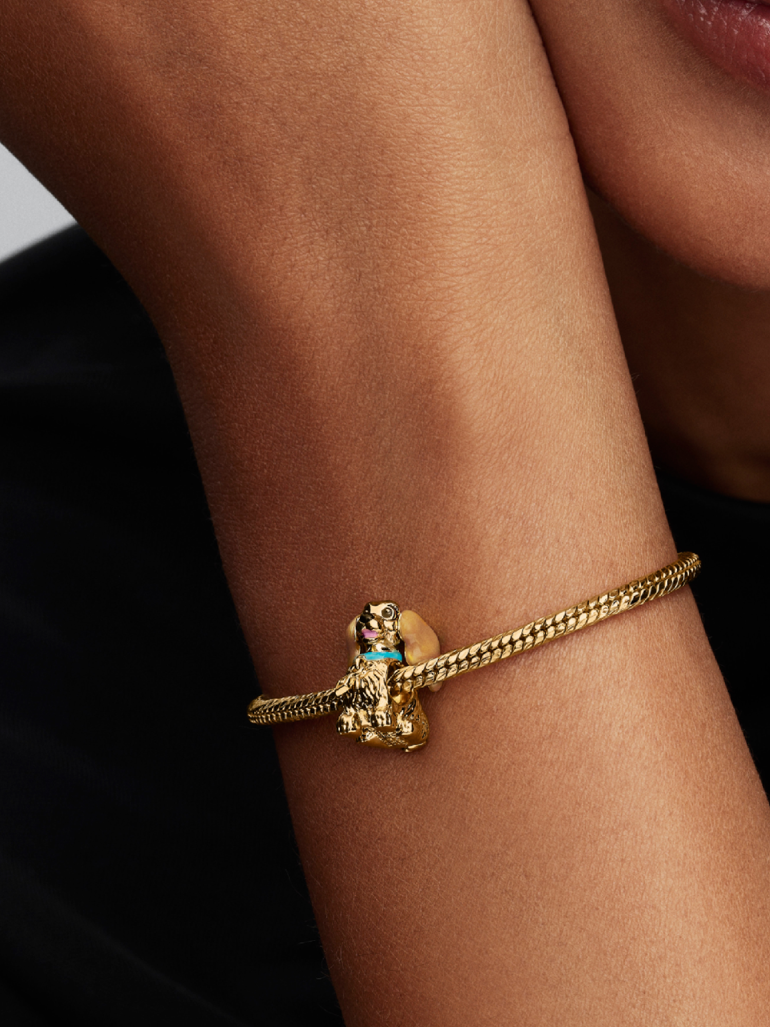 Agrandir