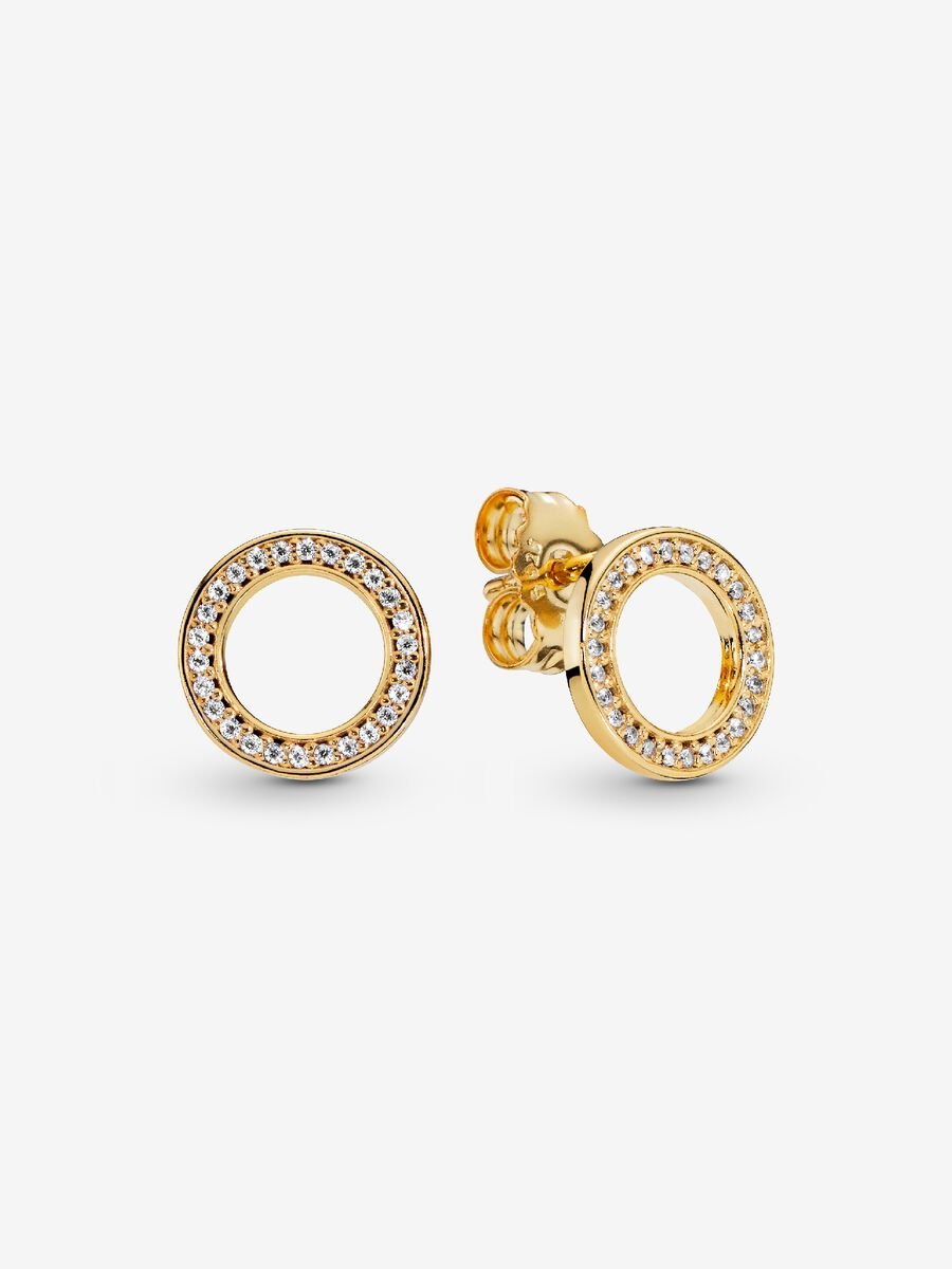 Clous d’oreille Cercle scintillant