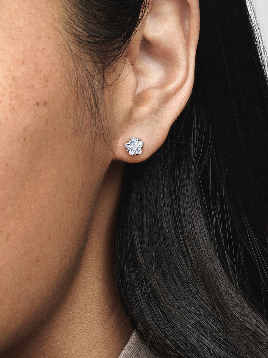 Clous d’oreille Étoile étincelante