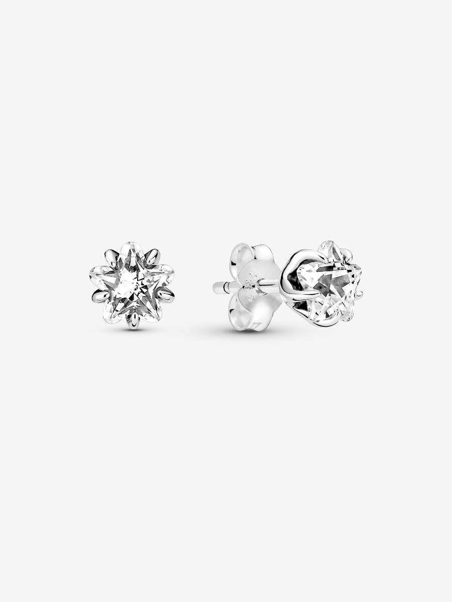 Clous d’oreille Étoile étincelante