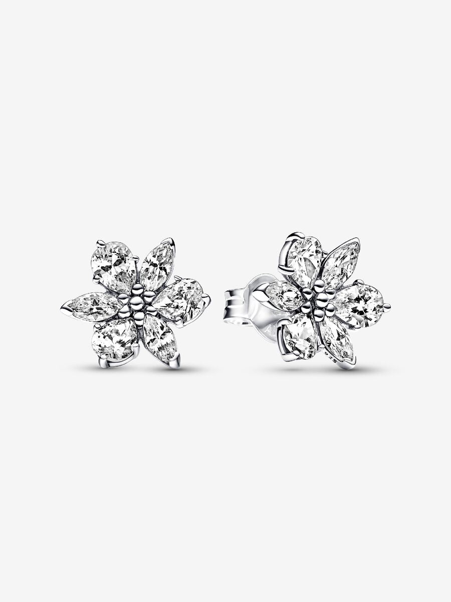 Clous d’oreilles Herbiers scintillants