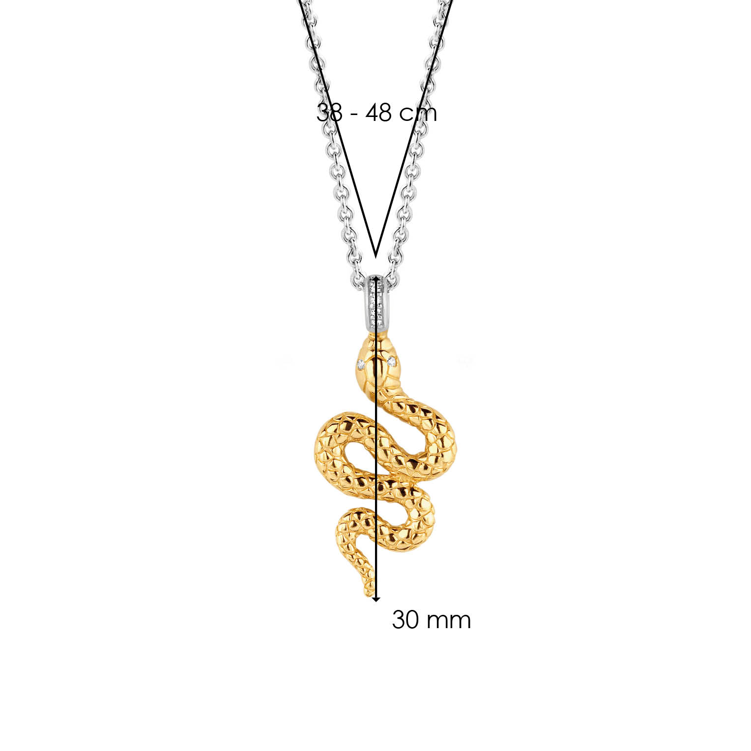 Agrandir