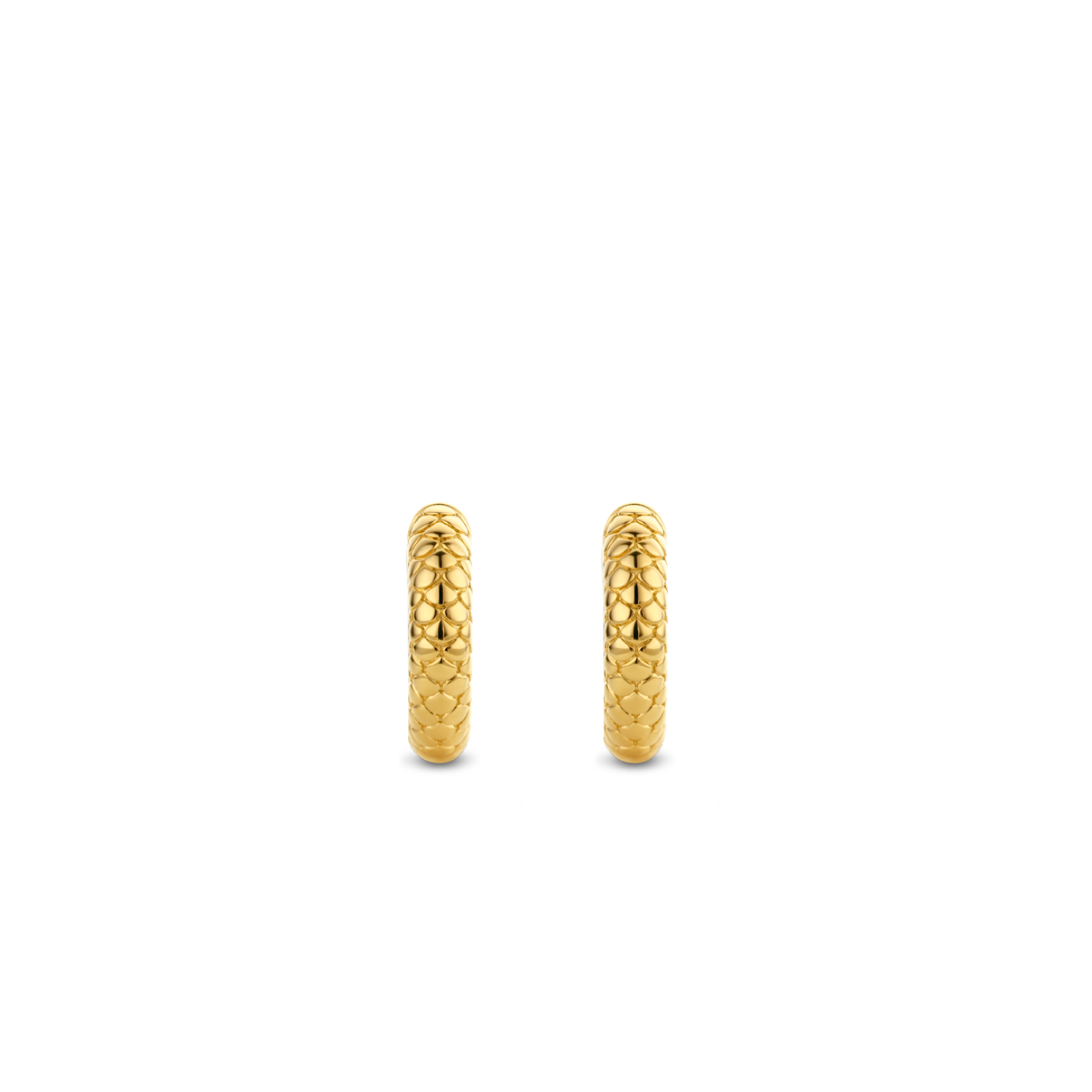 Agrandir