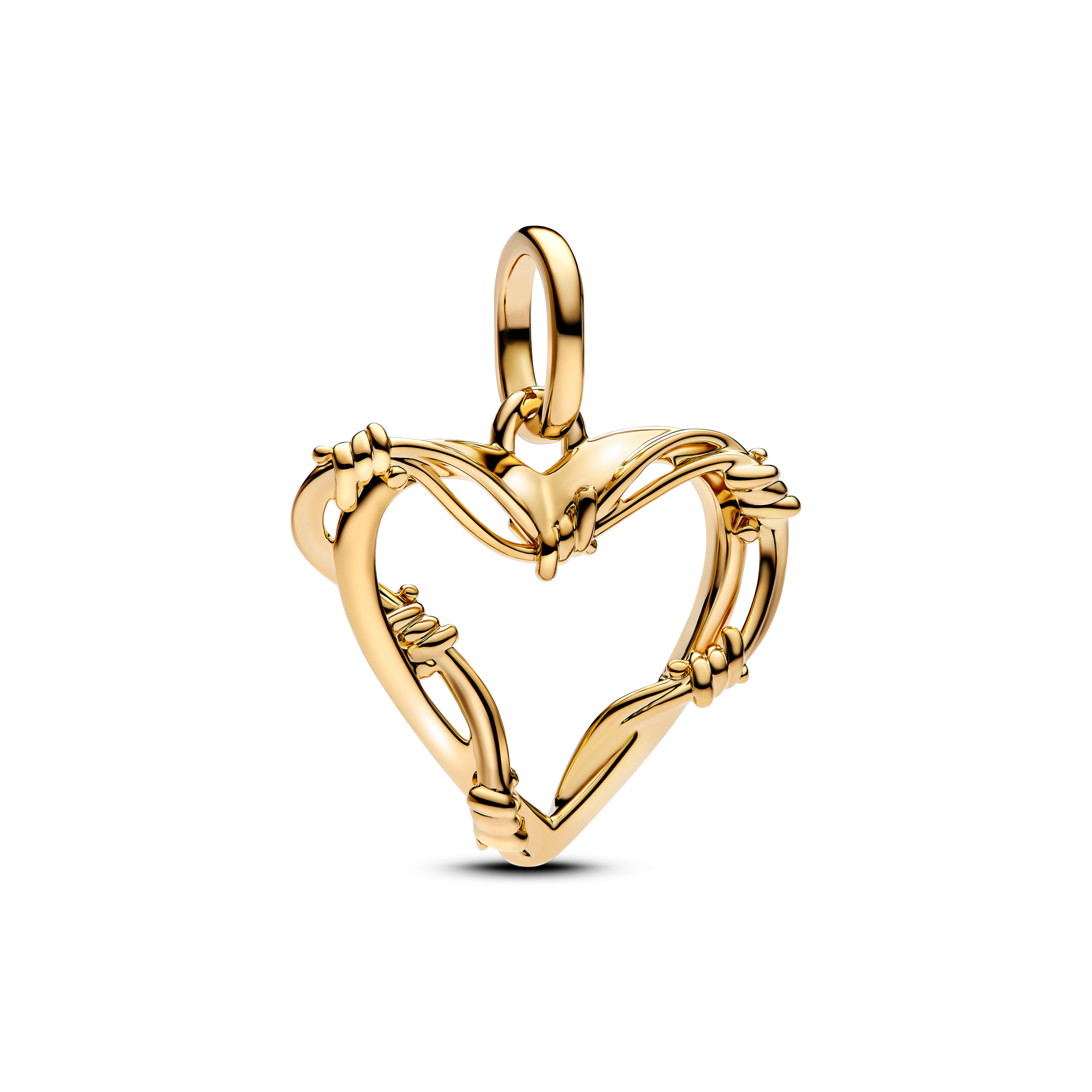 Agrandir