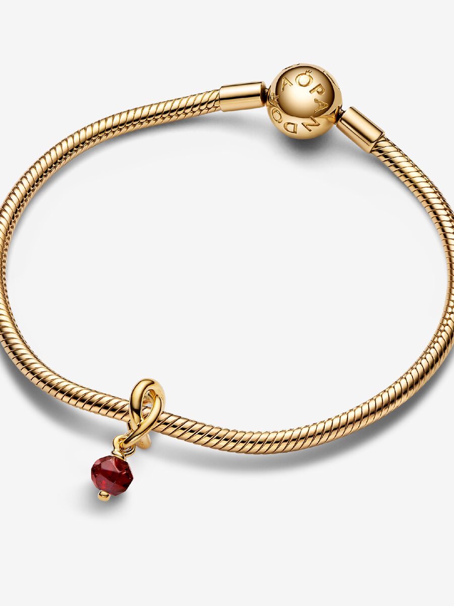 Janvier Charm-pendentif Cercle éternel rouge