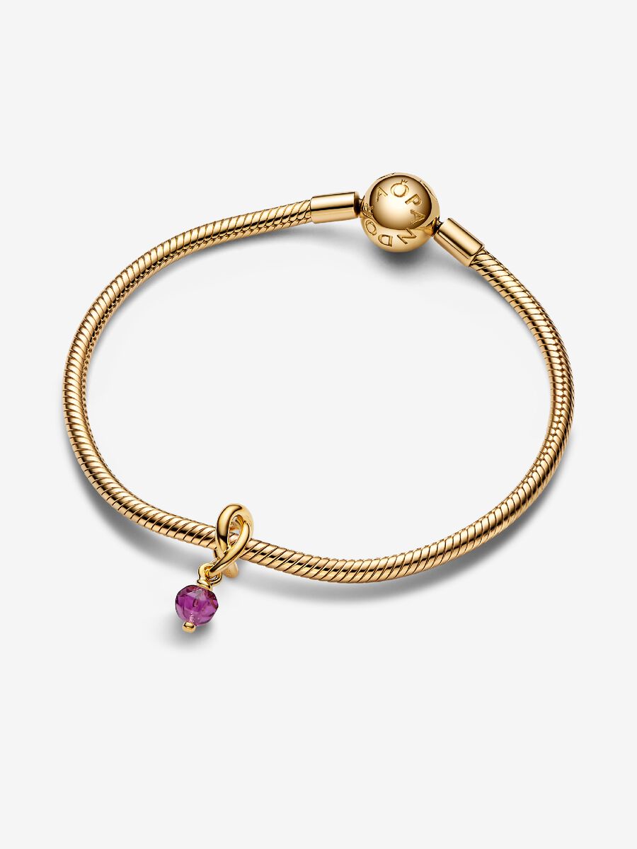Février Charm-pendentif Cercle éternel mauve