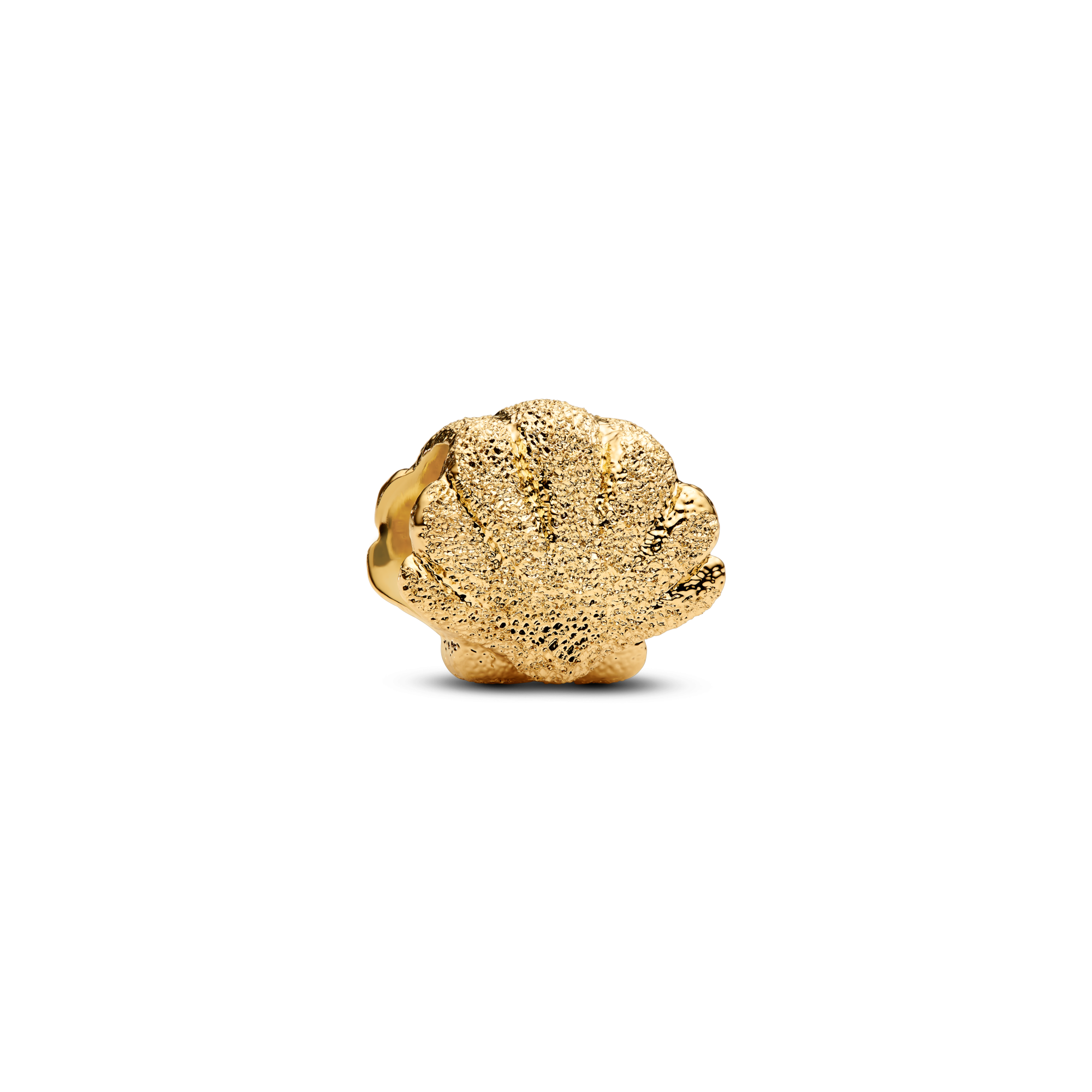 Agrandir