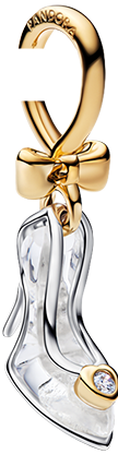 Agrandir