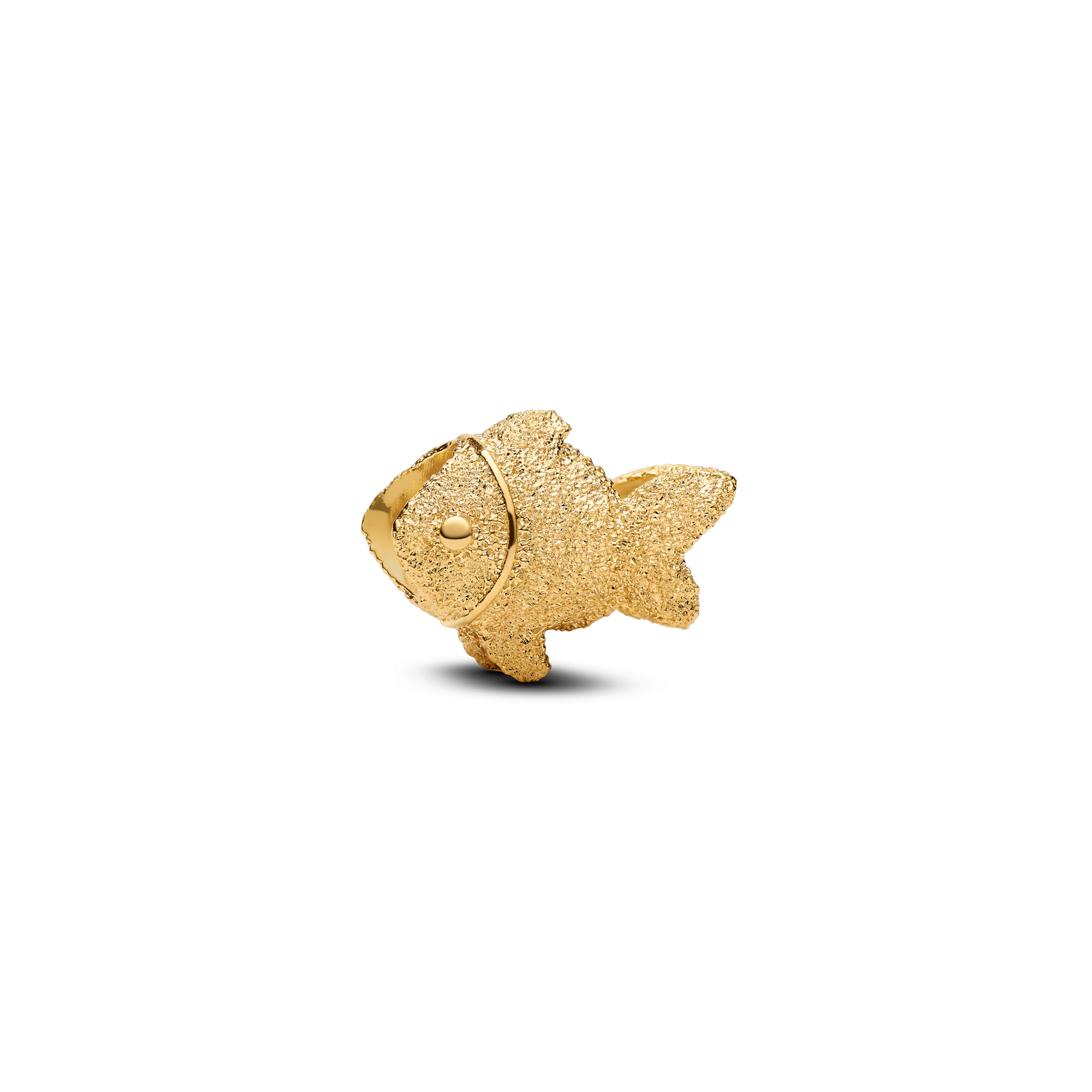 Agrandir