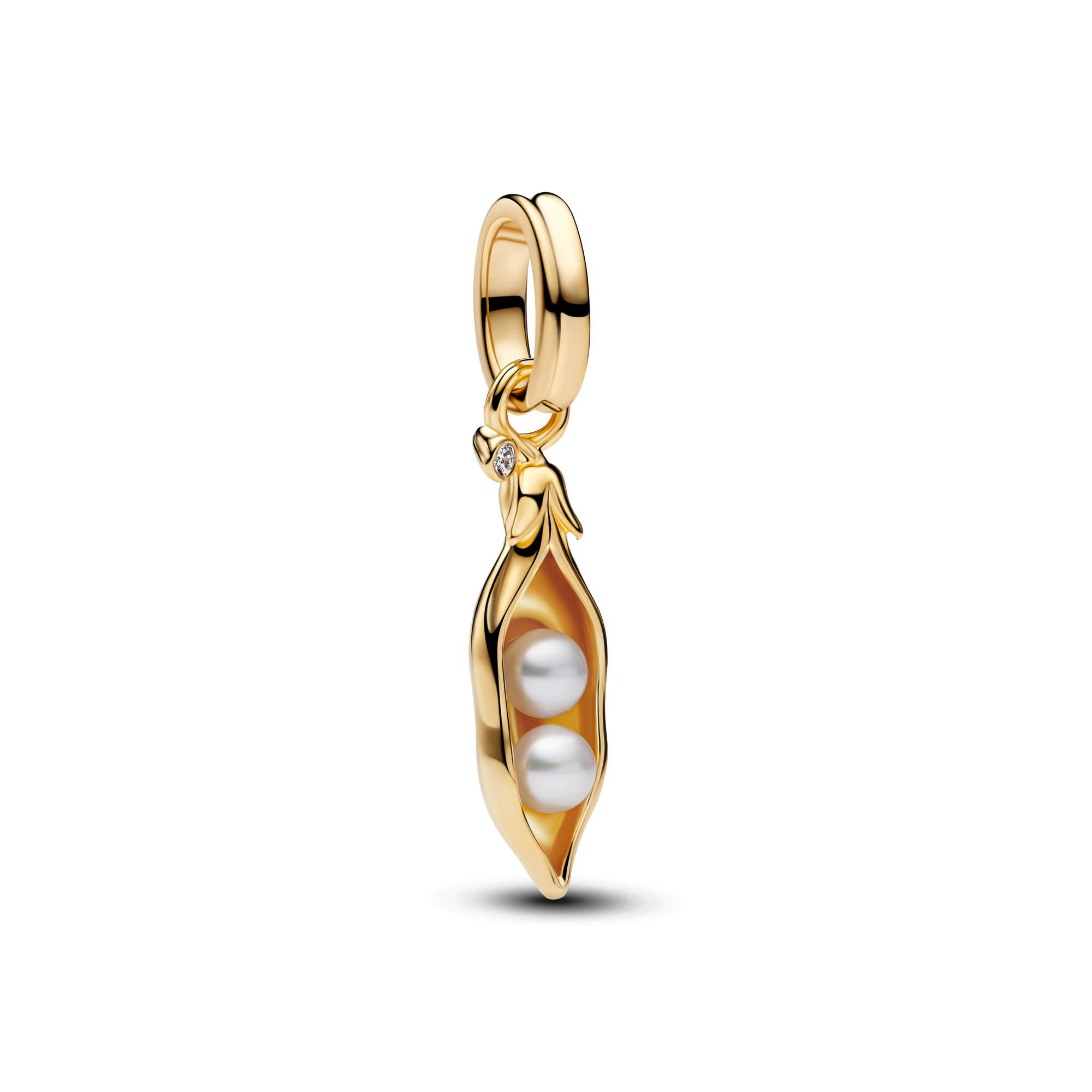 Agrandir