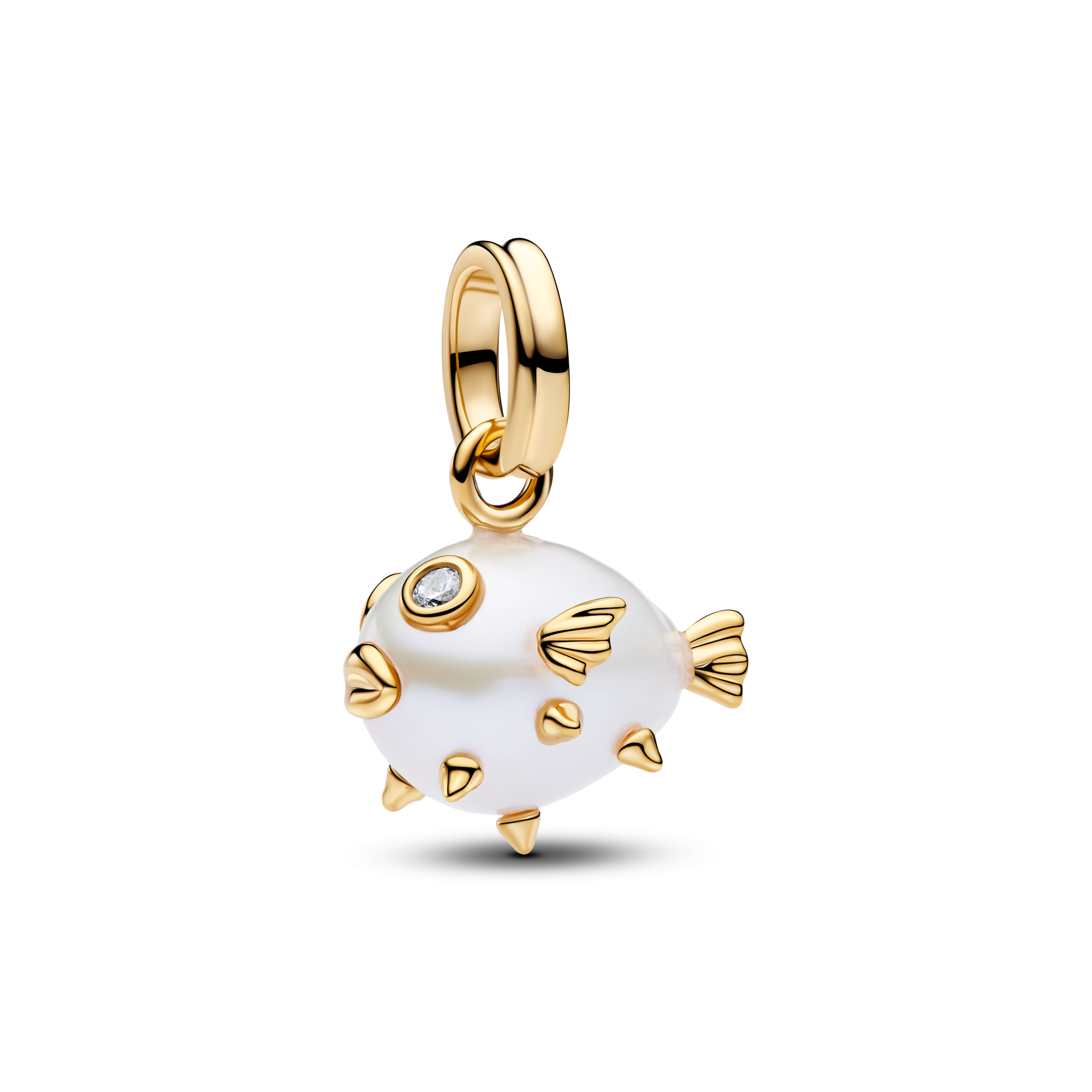 Agrandir