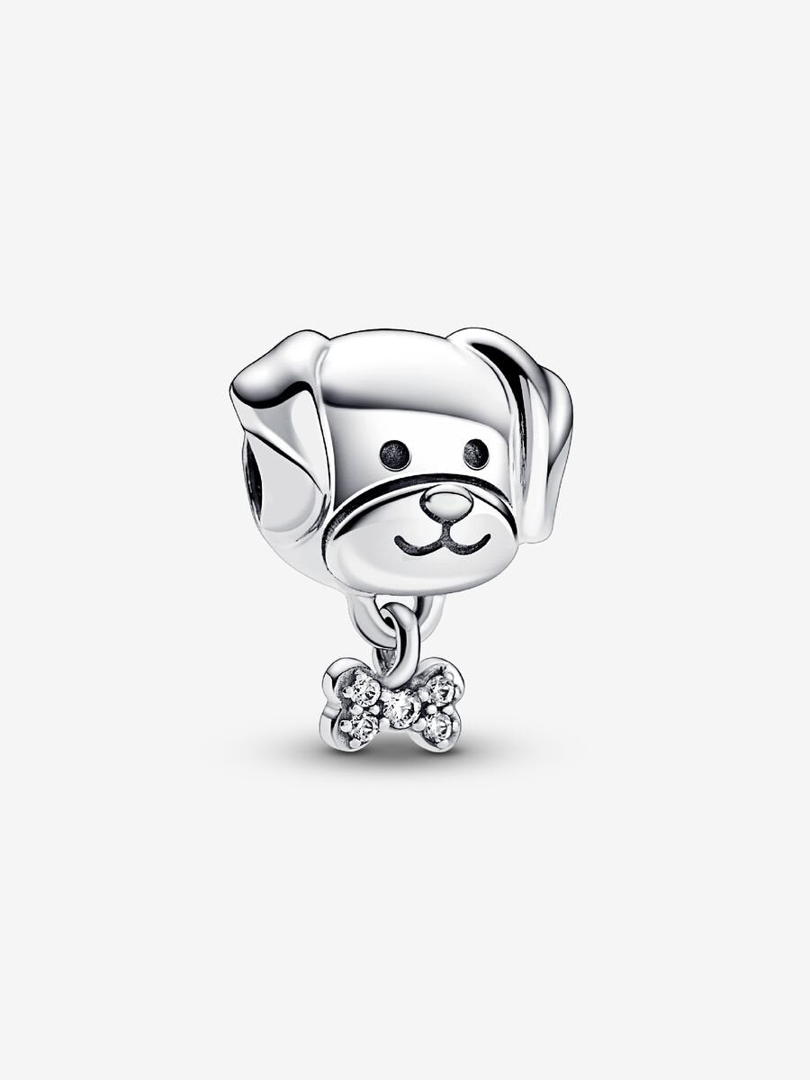 Charm Chien et os