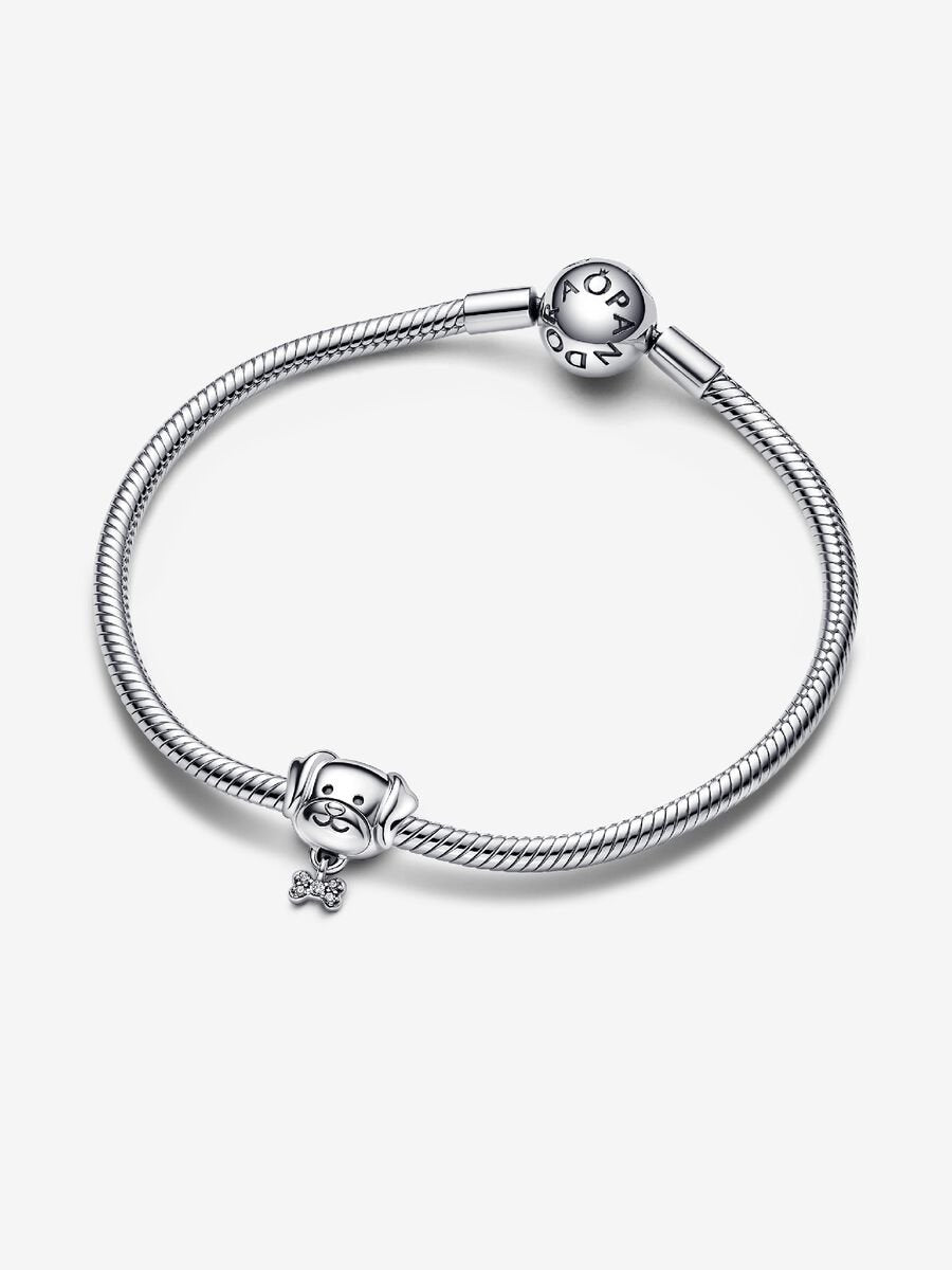 Charm Chien et os