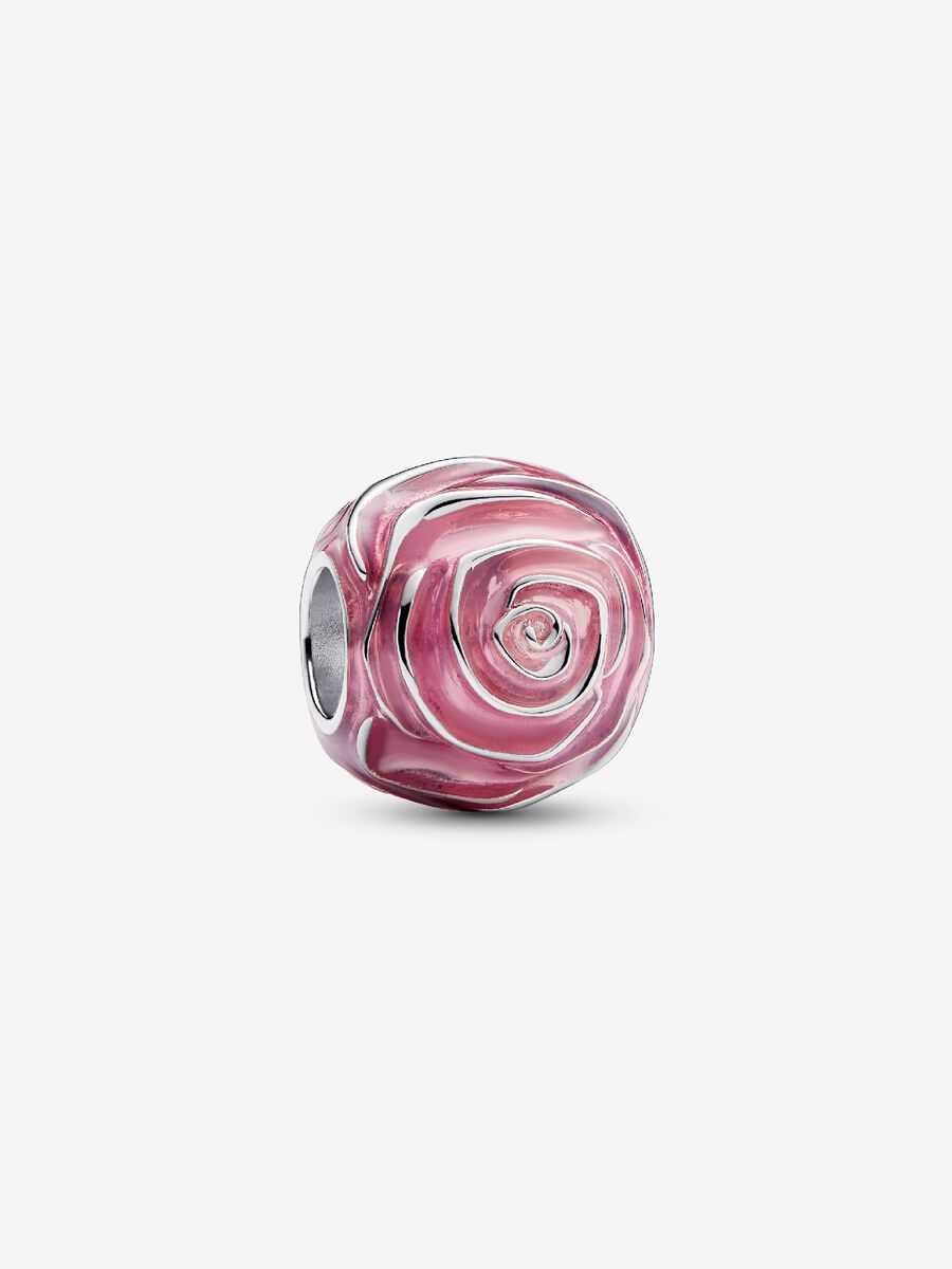 Charm Rose rose en fleur