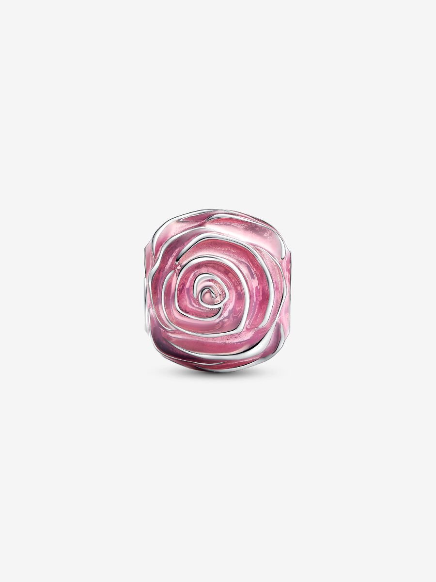 Charm Rose rose en fleur