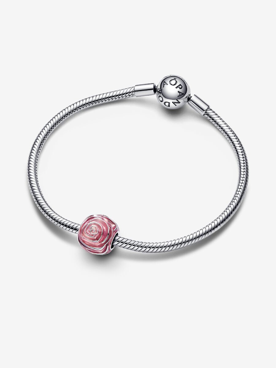 Charm Rose rose en fleur