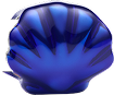 Agrandir