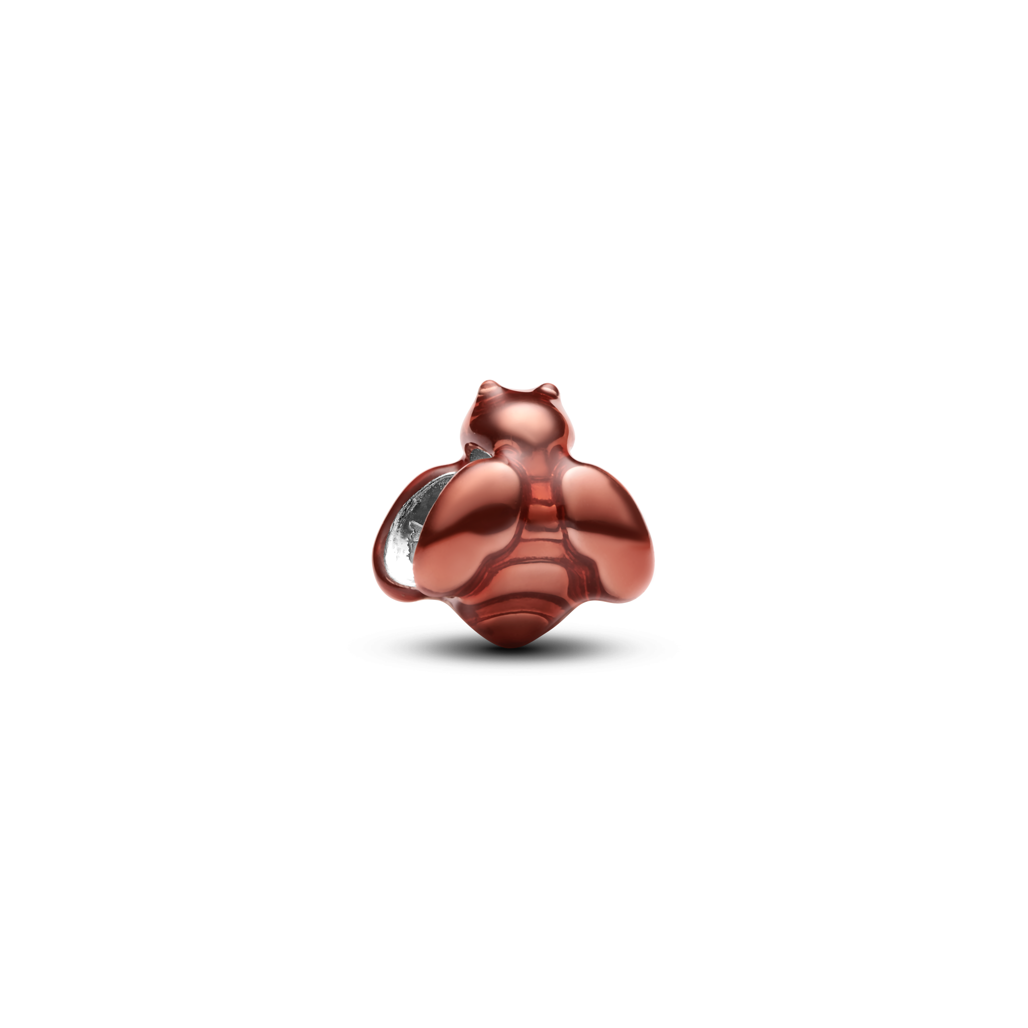 Agrandir