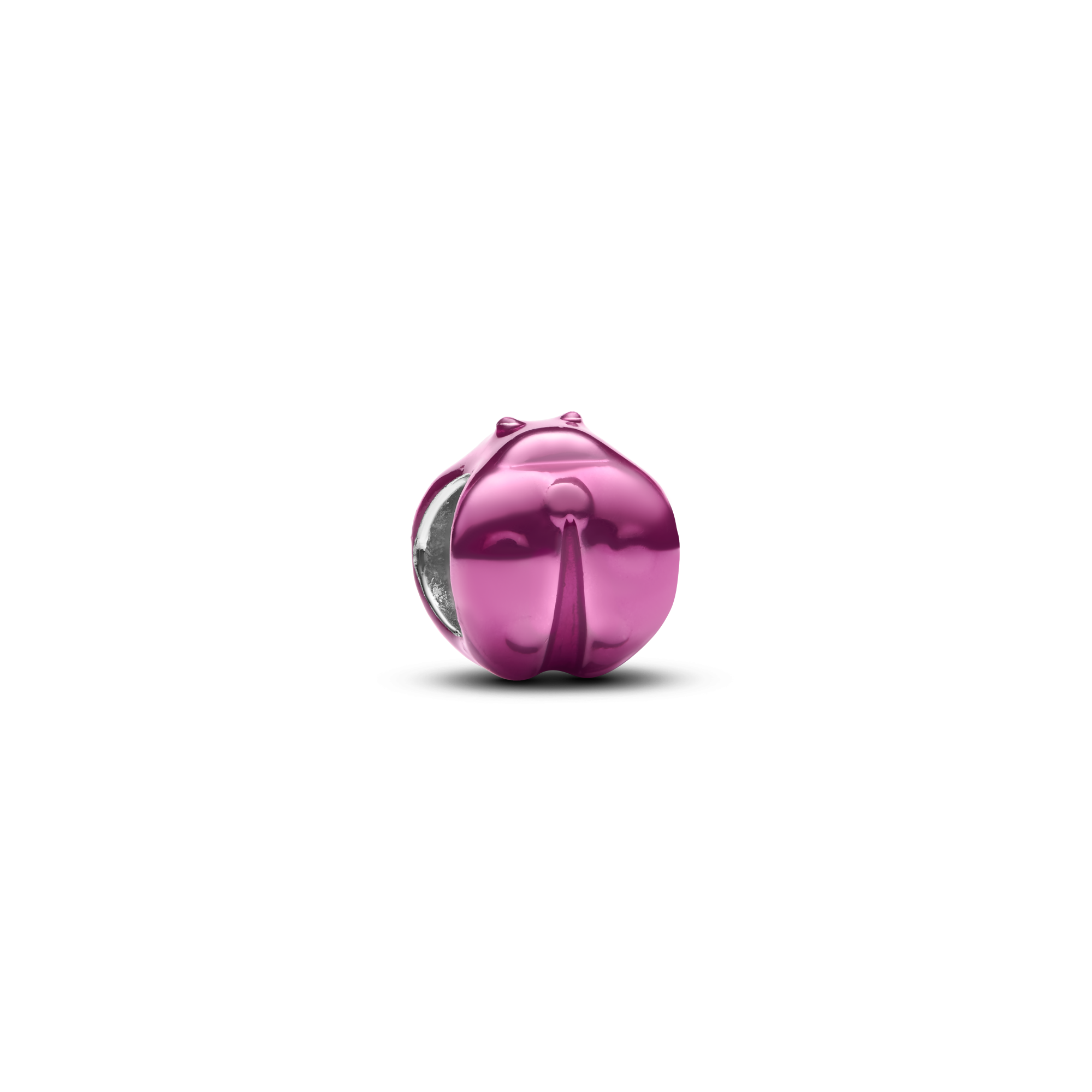 Agrandir