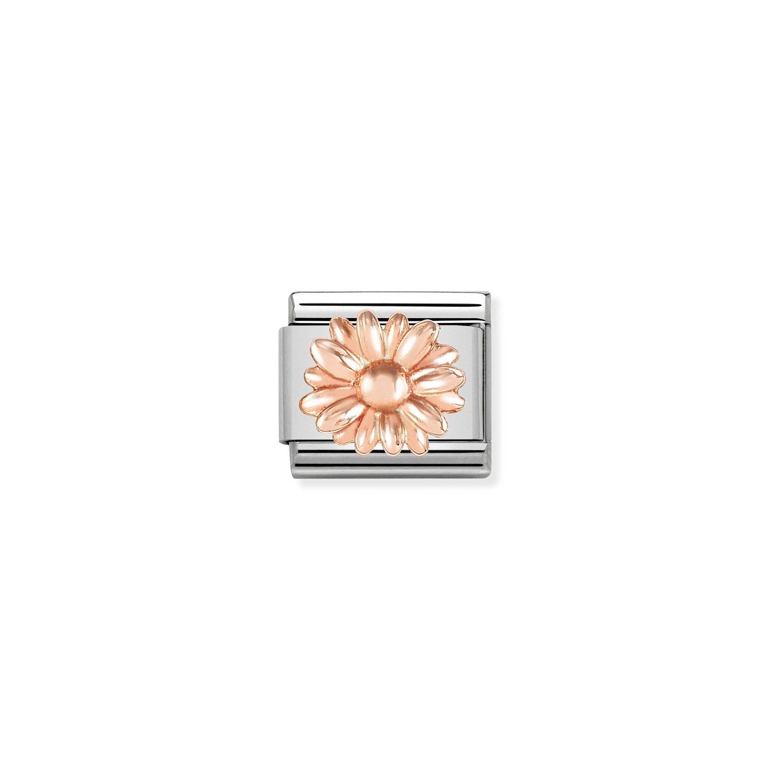 Agrandir
