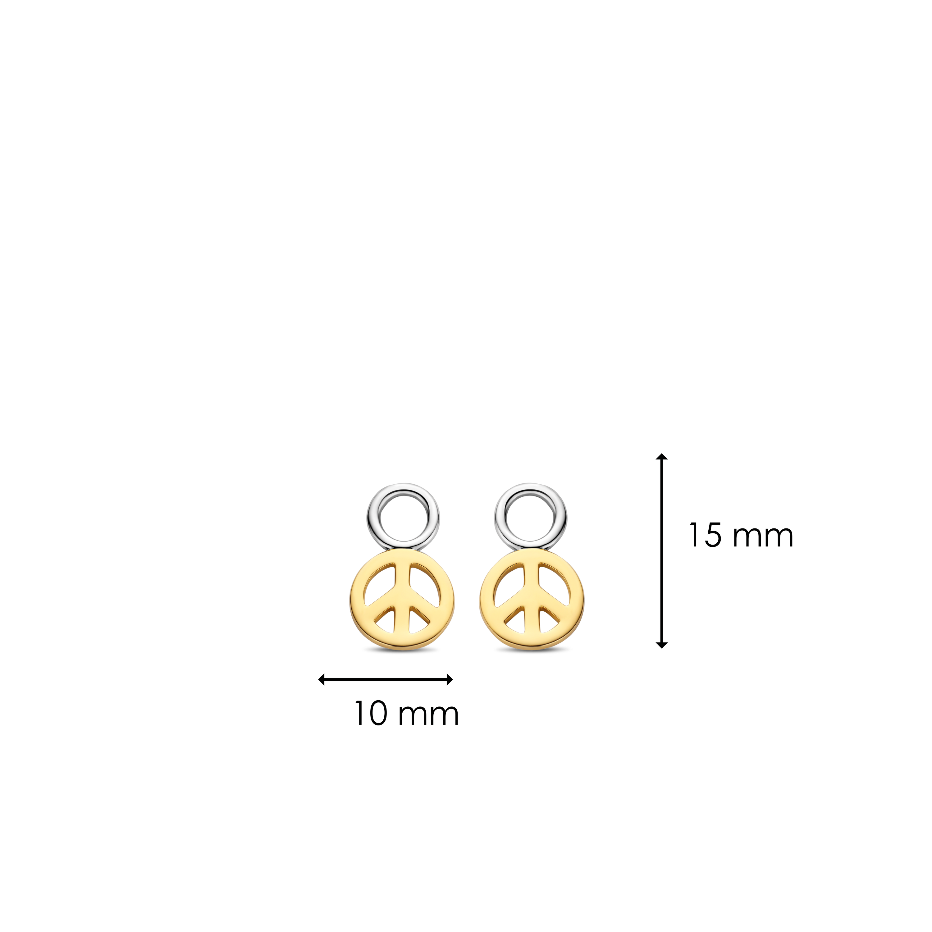 Agrandir