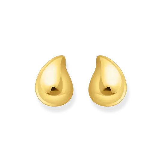 Agrandir