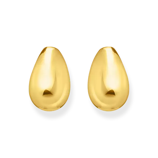 Agrandir