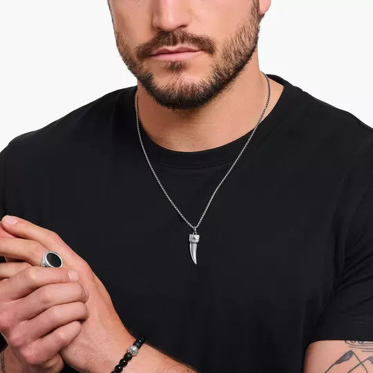 Agrandir
