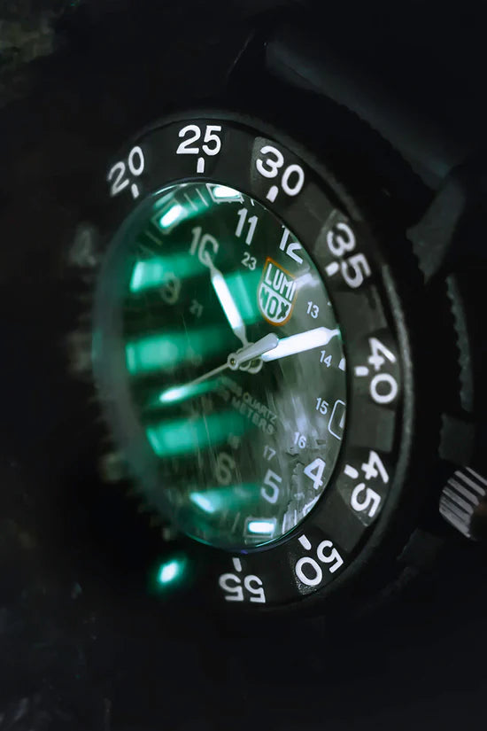 LUMINOX ORIGINAL NAVY SEAL 3001.F