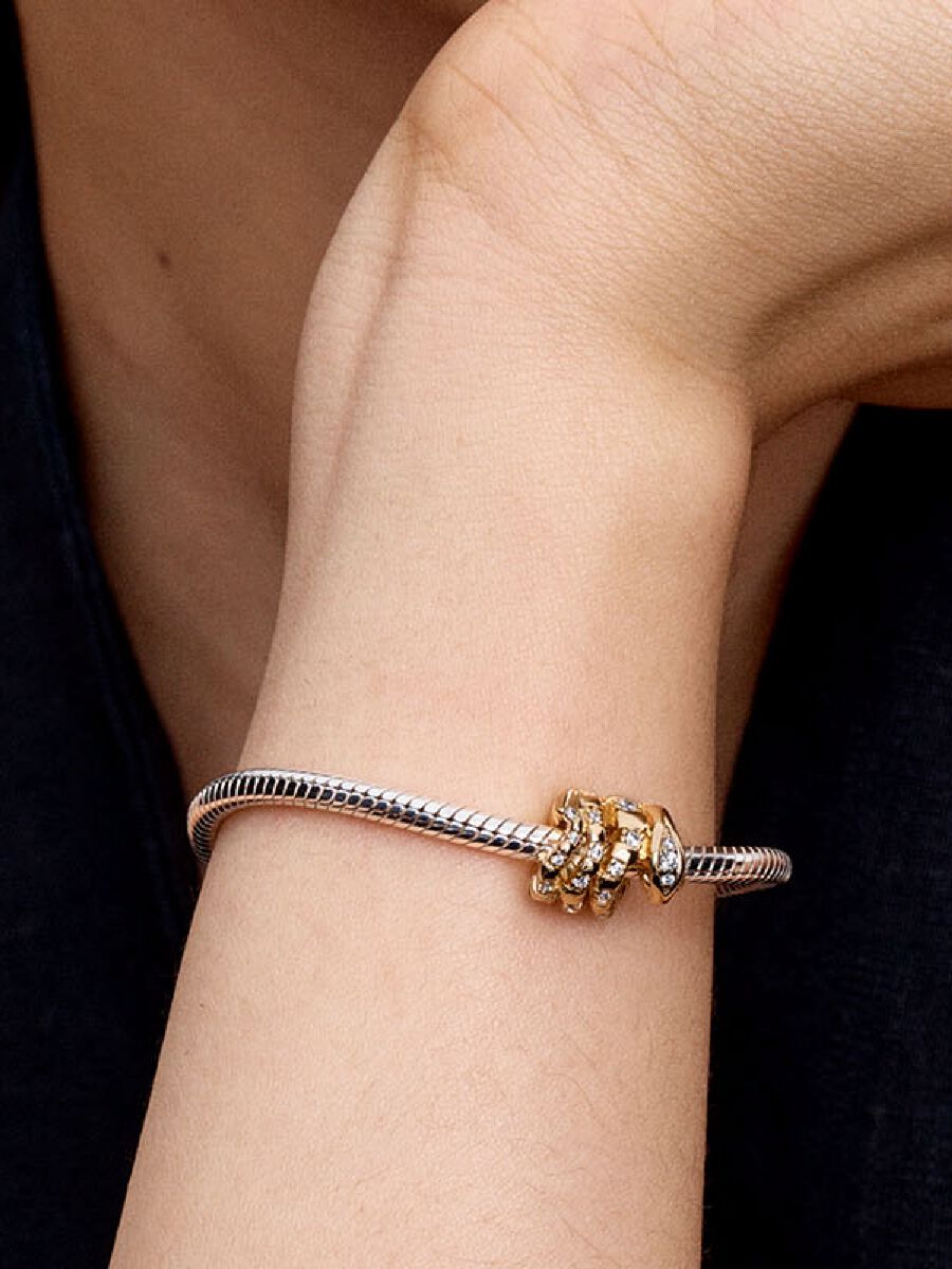 Charm Serpent enroulé