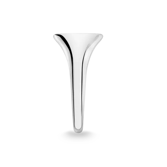 Agrandir