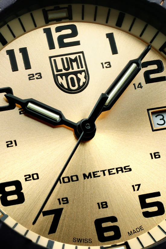 LUMINOX LEATHERBACK SEA TURTLE GIANT 0325.GP