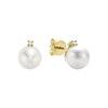 PEARL&DIAM EARRING - BOU.D'OREIL DIA&PERLE