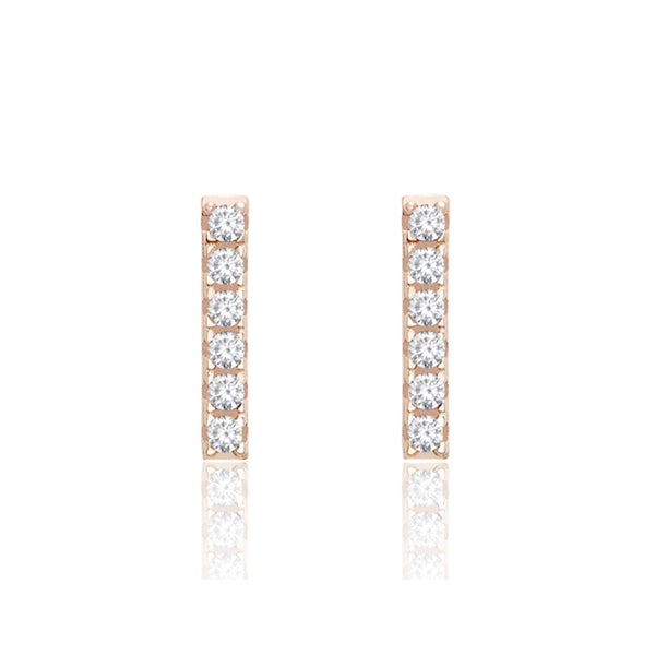 Clous d'oreilles barre scintillante