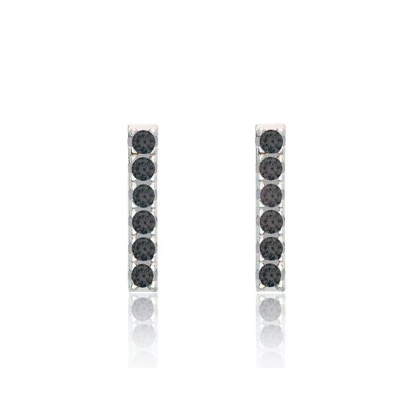 Clous d'oreilles barre scintillante