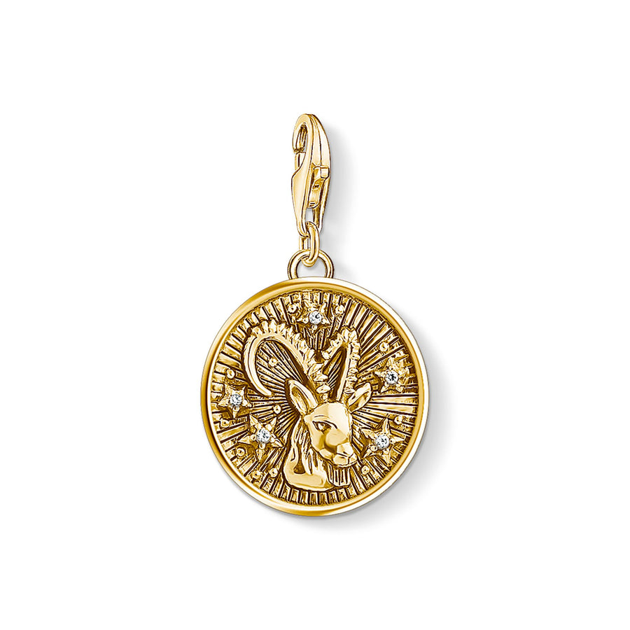 Pendentif Charm capricorne