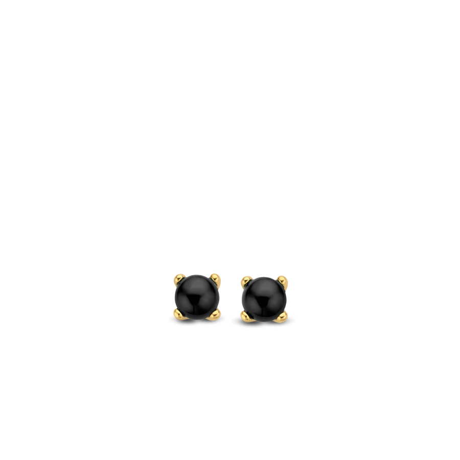 TI SENTO Clous d'oreilles Onyx