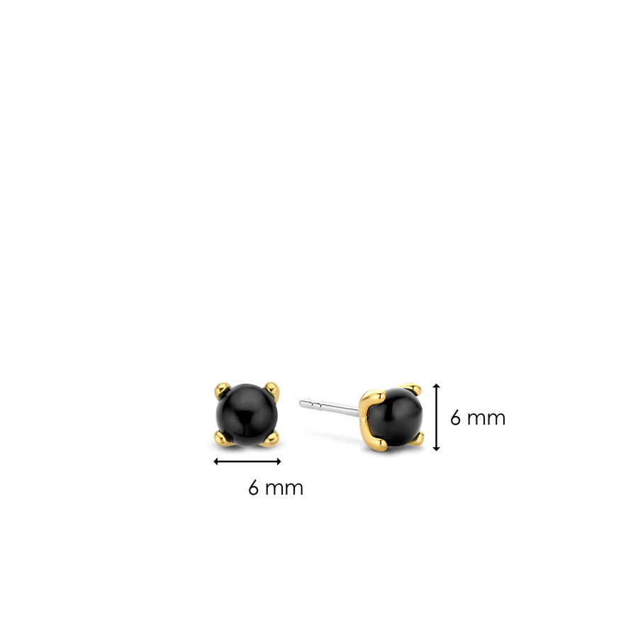 TI SENTO Clous d'oreilles Onyx