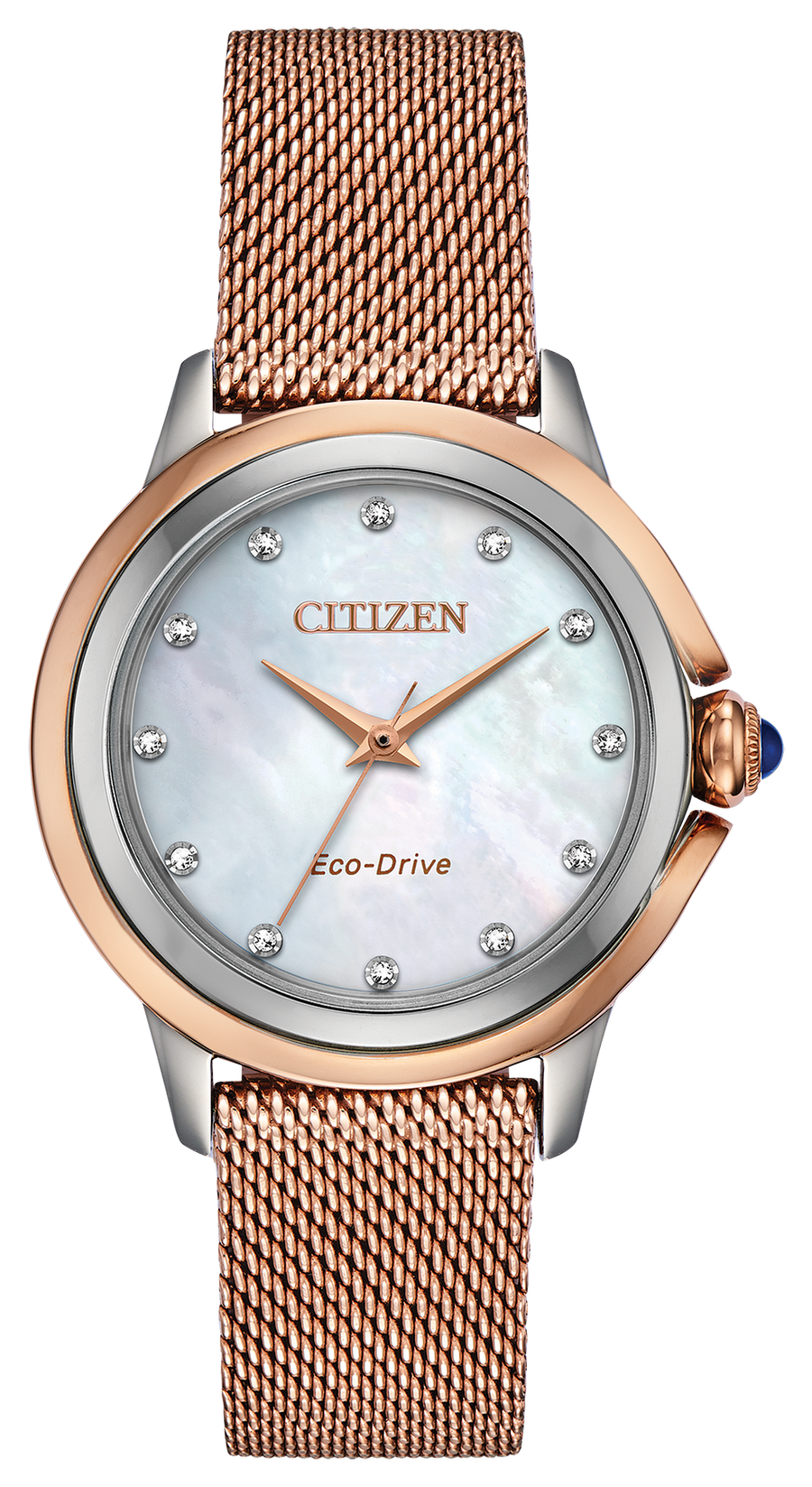 Ceci / Citizen