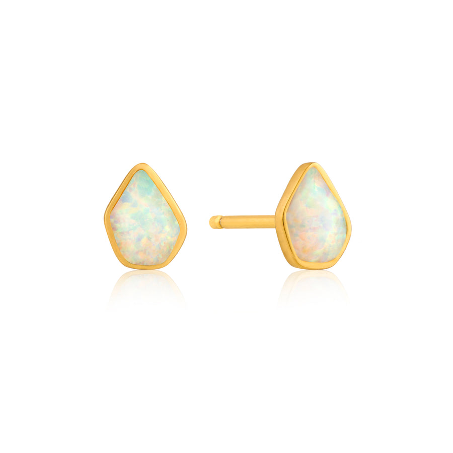 Clous d'oreilles avec opales