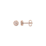Clous d'oreilles sparkling circles