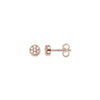 Clous d'oreilles sparkling circles