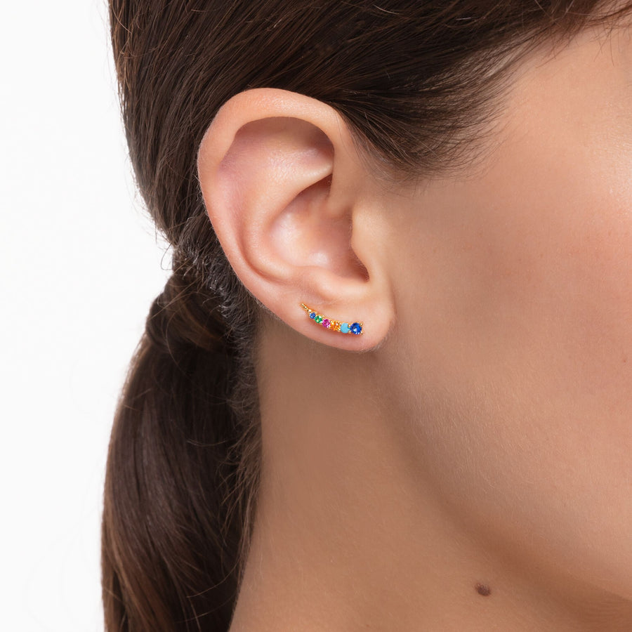 Boucles d'oreilles grimpante pierres multicolores