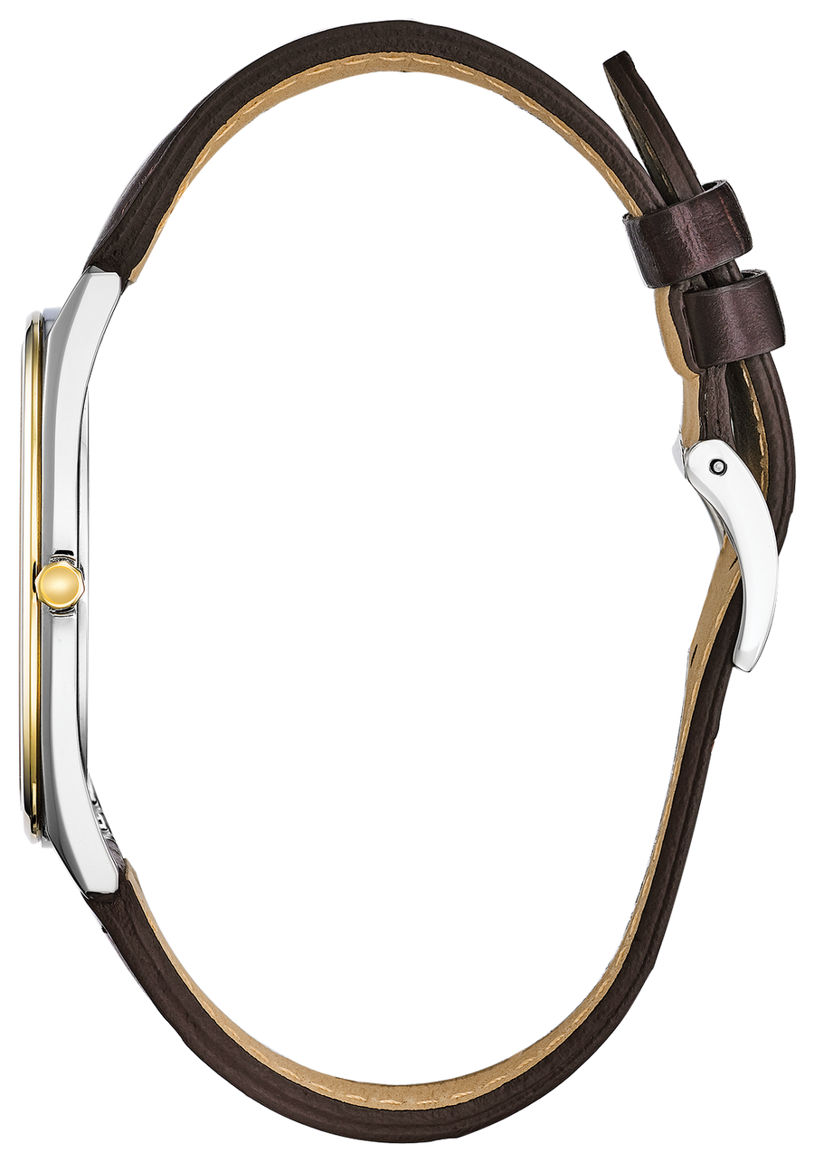 Stiletto / Citizen