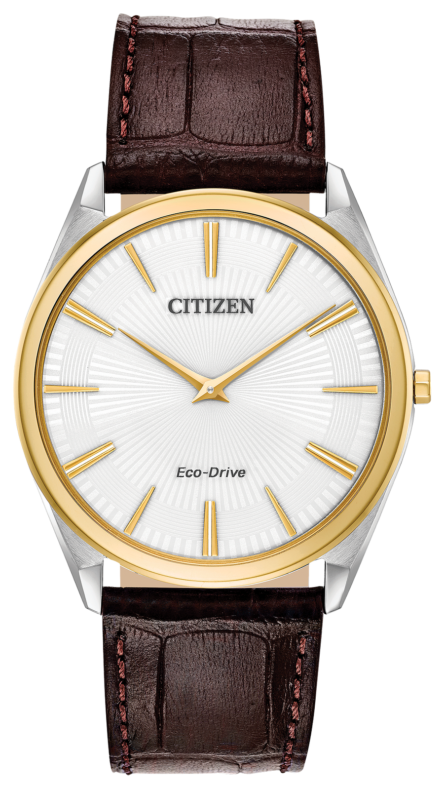 Stiletto / Citizen